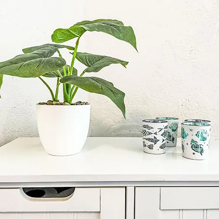 아파트 Therese By Interhome 미로우